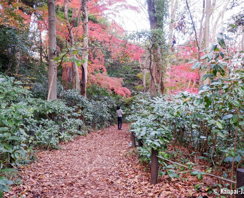 Shirokanedai (Tokyo), Institute for Nature Study in autumn 3 Shirokanedai (Tokyo), Institute for Nature Study in autumn 3