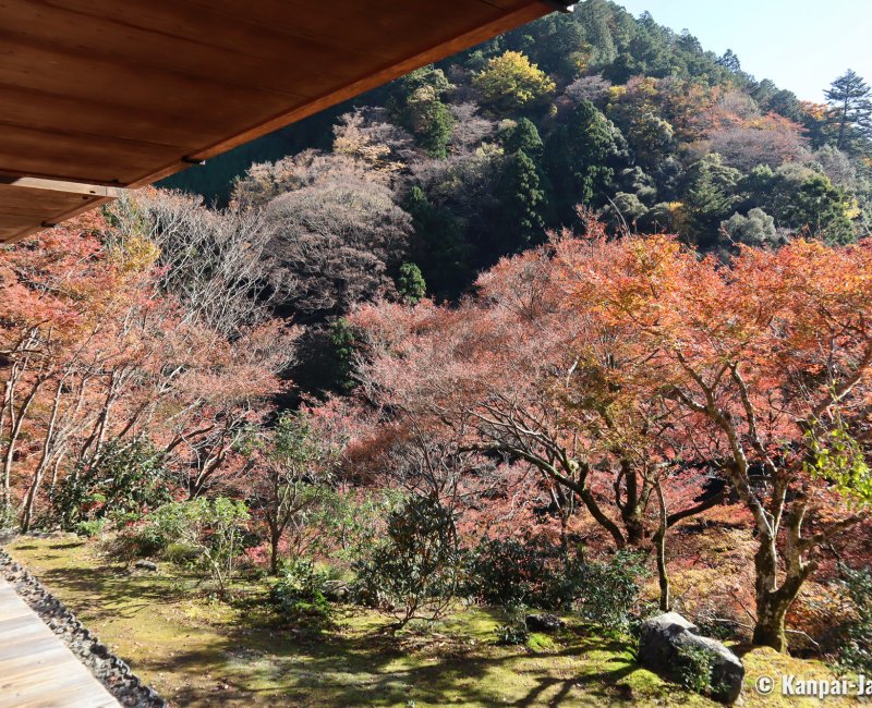 Kozan-ji (Takao, Kyoto), View on the red maple trees from Sekisui-in pavilion in autumn Kozan-ji (Takao, Kyoto), View on the red maple trees from Sekisui-in pavilion in autumn