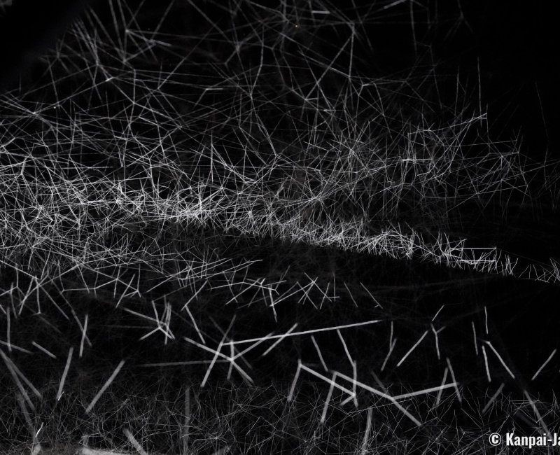 Tanegashima Light Festival, Analemma ©Yasuhiro Chida
