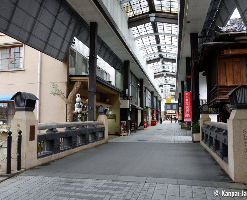 Nagahama, View on Ootemon-dori shotengai towards Hikiyama Museum