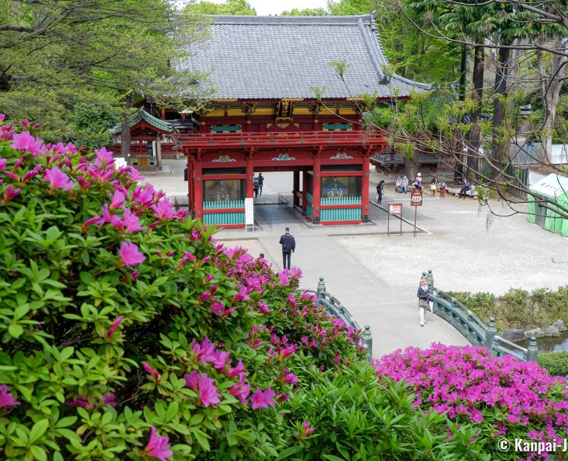 Bunkyo Tsutsuji Matsuri (Tokyo), View on Romon Gate from Nezu-jinja's azalea hill Bunkyo Tsutsuji Matsuri (Tokyo), View on Romon Gate from Nezu-jinja's azalea hill