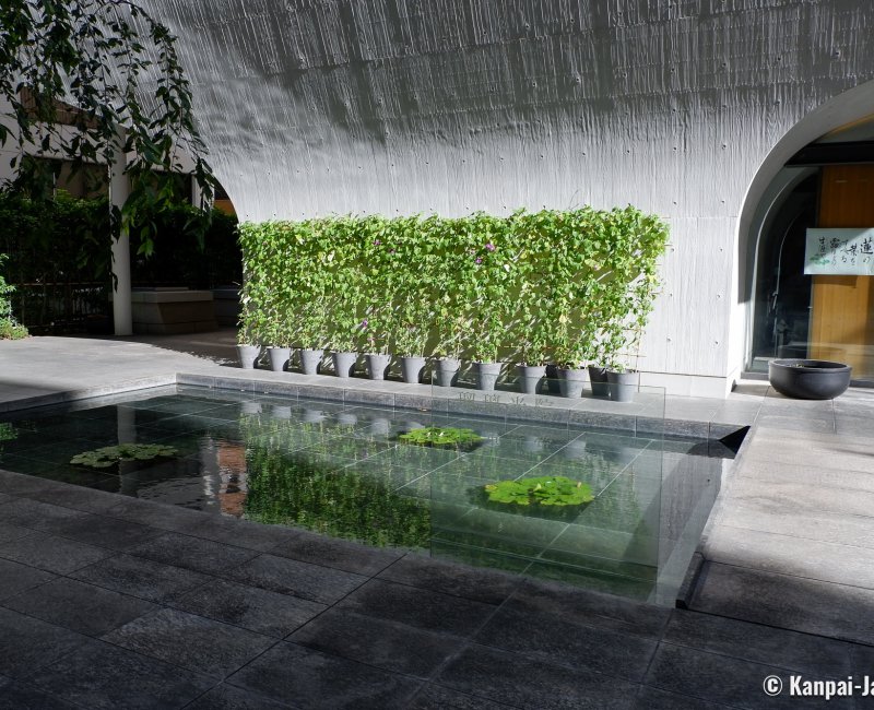 Shinjuku Ruriko-in Byakurenge-do (Tokyo), Lotus pond and entrance of the temple Shinjuku Ruriko-in Byakurenge-do (Tokyo), Lotus pond and entrance of the temple