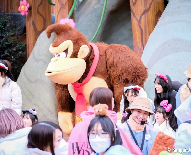 Donkey Kong Country (USJ, Osaka), Photo shoot session with Kong
