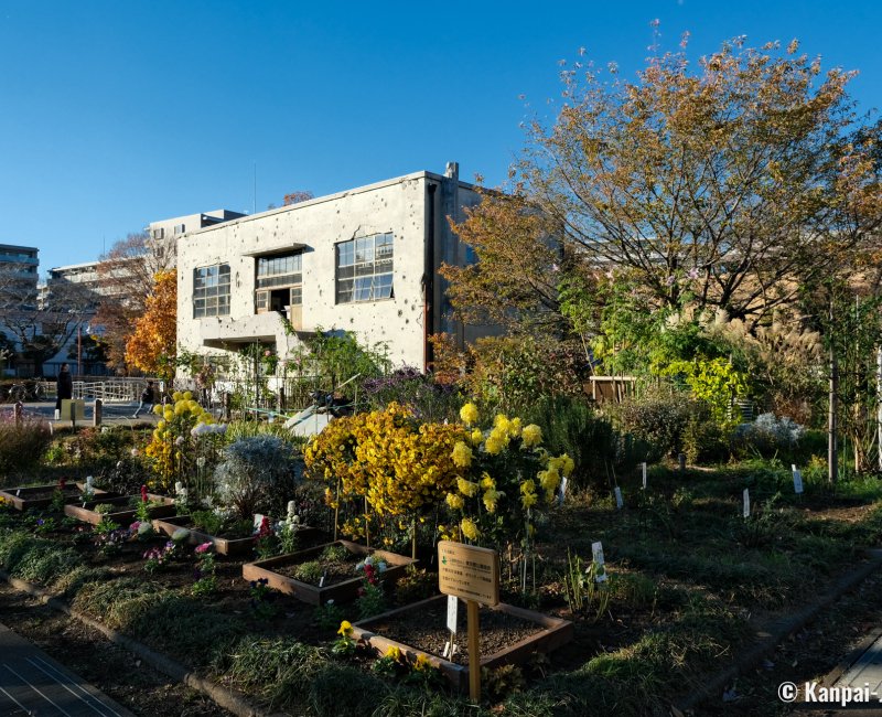 Former Hitachi Aircraft Tachikawa Factory Substation (Tokyo), Flowered garden in autumn Former Hitachi Aircraft Tachikawa Factory Substation (Tokyo), Flowered garden in autumn