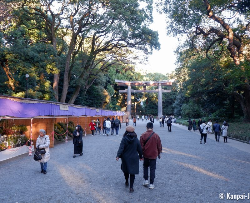 Meiji-jingu (Tokyo), Chrysanthemum exhibition for Kiku Matsuri 3 Meiji-jingu (Tokyo), Chrysanthemum exhibition for Kiku Matsuri 3