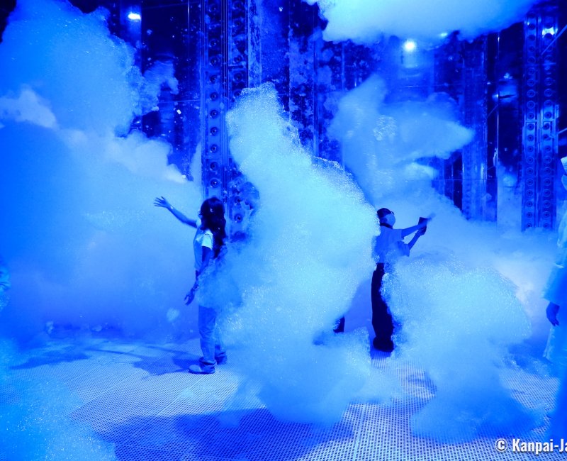 teamLab Biovortex Kyoto, Massless Amorphous Sculpture