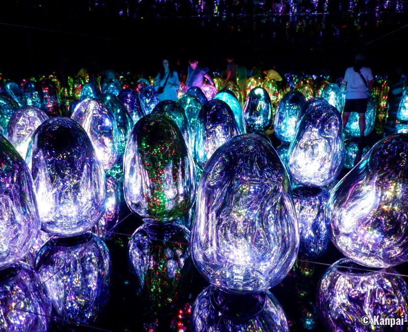 teamLab Biovortex Kyoto, Resonating Microcosms - Solidified Light