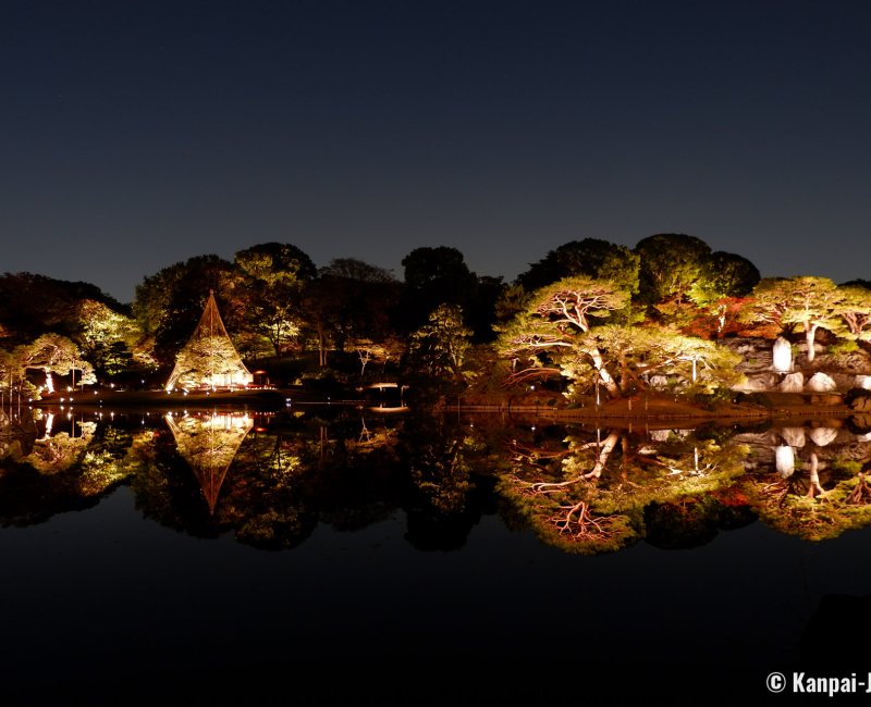 Autumn Illuminations in Rikugi-en (Tokyo), Reflection of Naka-no-shima island on the pond Autumn Illuminations in Rikugi-en (Tokyo), Reflection of Naka-no-shima island on the pond
