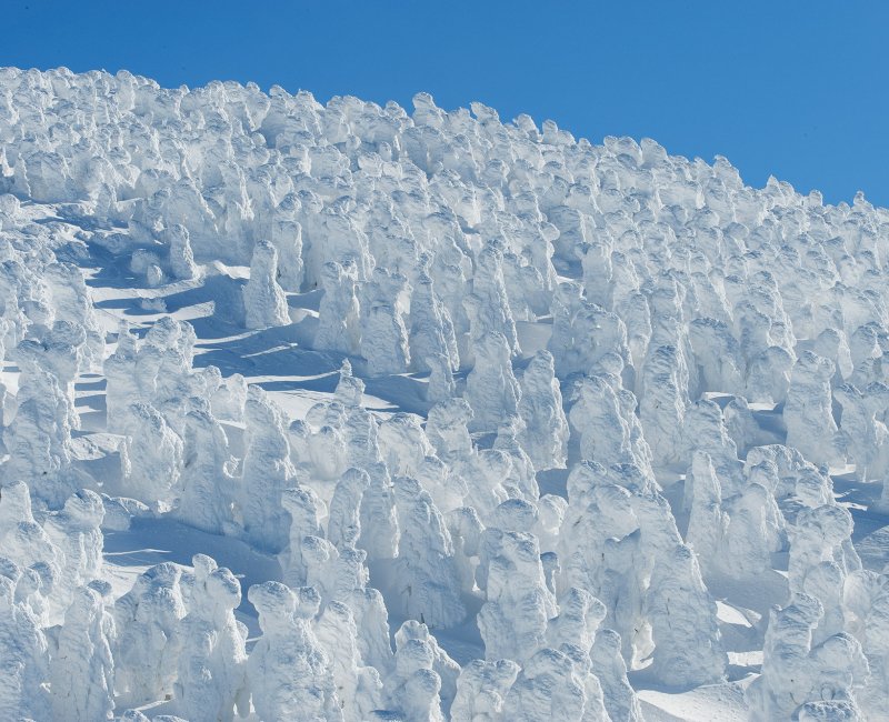 Zao Onsen, View on the Snow Monsters ©Yamagata Prefecture