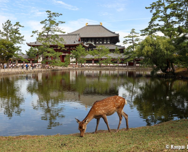 Nara, Kagami-ike pond in front of the Todai-ji building home to the Great Buddha statue