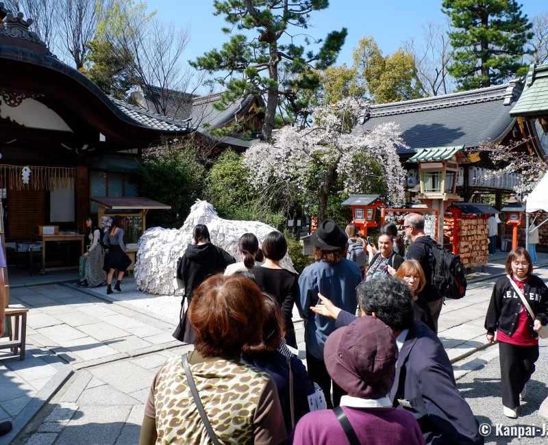 Yasui Konpiragu (Kyoto), Waiting line to go through the Enkiri Enmusubi Ishi sacred stone