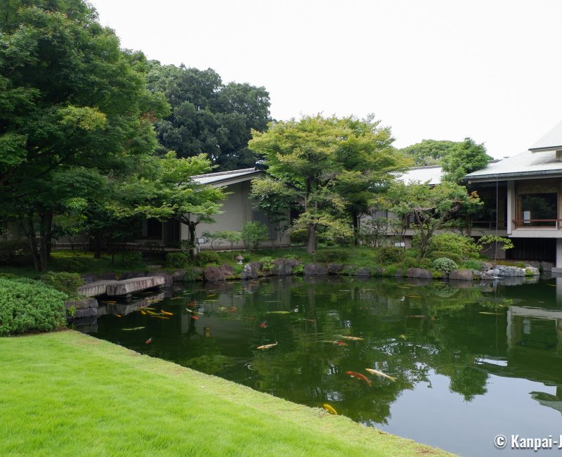 Akasaka Palace (Tokyo), Carp pond in the Japanese garden Akasaka Palace (Tokyo), Carp pond in the Japanese garden