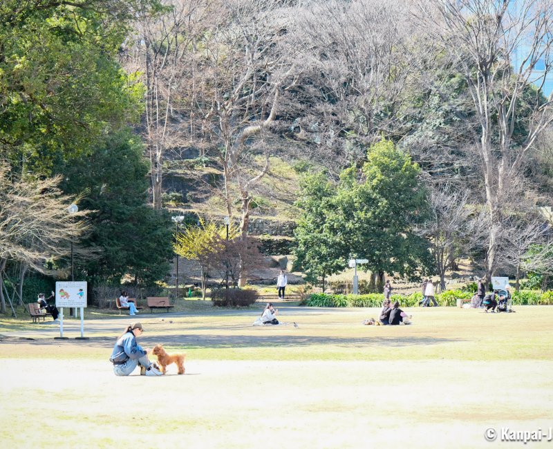 Shiba Park (Tokyo), Lawns at the end of winter with Shiba Maruyama Kofun in the background
