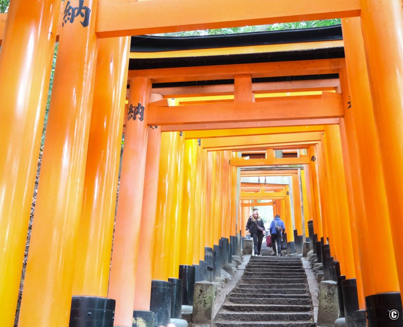 Fushimi Inari Taisha (Kyoto), Torii gate tunnel covering a stairway to the top of Mount Inari Fushimi Inari Taisha (Kyoto), Torii gate tunnel covering a stairway to the top of Mount Inari