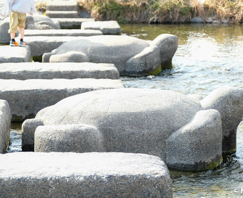 Demachiyanagi Delta (Kyoto), Detail of the rectangular and turtle-shaped stepping stones