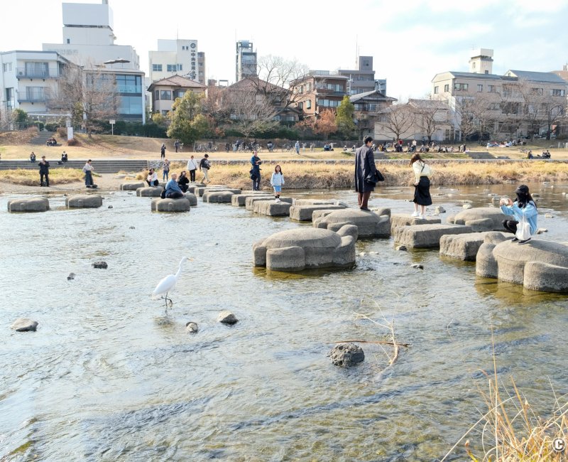 Demachiyanagi Delta (Kyoto), View on the stepping stones path across the river at the end of winter 3