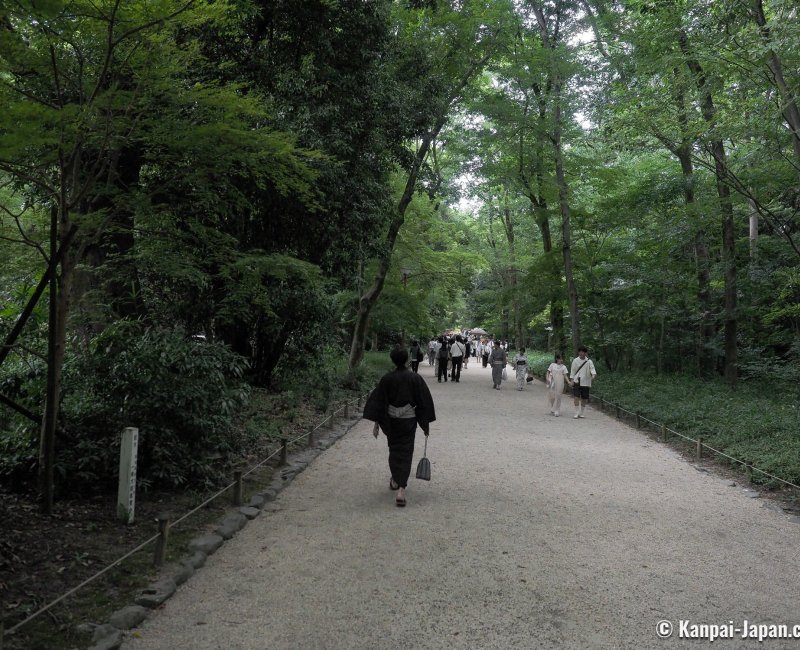Tadasu no Mori (Kyoto), Pathway in the forest in summer Tadasu no Mori (Kyoto), Pathway in the forest in summer