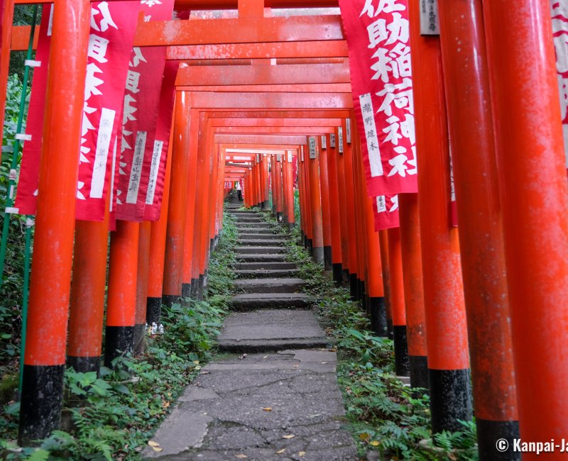 Kamakura, Red torii gate tunnel at Sasuke Inari-jinja shrine Kamakura, Red torii gate tunnel at Sasuke Inari-jinja shrine