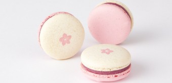 macaron-sakura-lindt-saint-valentin-japon