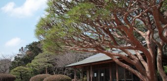 Shinjuku Gyoen (Tokyo), A rest house