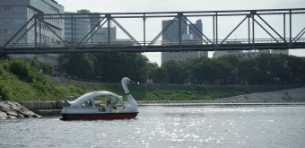 Okayama, swan pedal boat on the Asahi-gawa River
