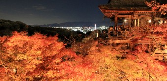 Kiyomizu-dera, Momiji light-up 9