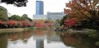 Koishikawa Korakuen (Tokyo) in autumn and modern buildings