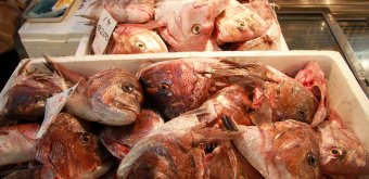 Tsukiji Fish Market, Red fish heads