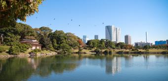 Hama-Rikyu, Japanese garden (Tokyo)