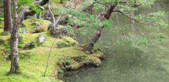 Saiho-ji Koke-dera temple (Kyoto), Moss garden in autumn 6