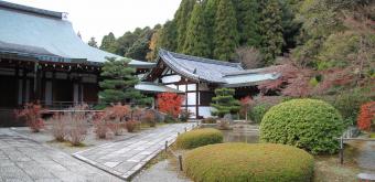 Saiho-ji Koke-dera temple (Kyoto), Moss garden in autumn 11