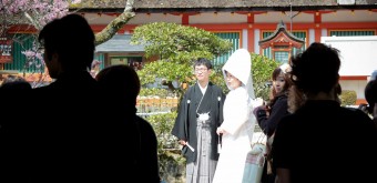 Kamigamo-jinja (Kyoto), Shinto wedding celebration