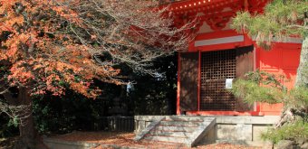Tofuku-ji (Kyoto), Aizen-do pavilion in autumn
