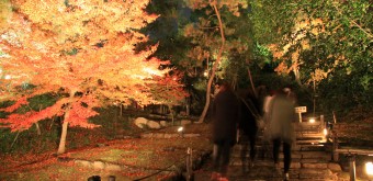 Kodai-ji (Kyoto), Night illuminations during the Koyo period