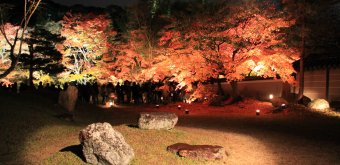 Kodai-ji (Kyoto), Momiji light-up in autumn 4