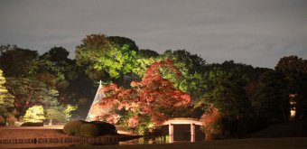 Rikugi-en (Tokyo), Overview of the momiji ligh-up in autumn 3