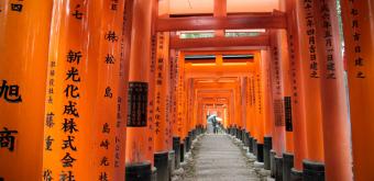 Fushimi Inari Taisha (Kyoto), Torii alley