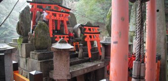 Fushimi Inari Taisha in Kyoto, Shrines and torii gates of various sizes
