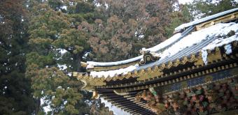 Toshogu (Nikko), Architectural detail 2