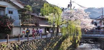 Japanese women wearing yukata in the streets of Kinosaki Onsen