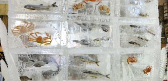 Sapporo Yuki Matsuri 14