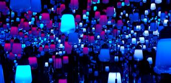 teamLab Borderless, MORI Building DIGITAL ART MUSEUM (Odaiba, Tokyo)