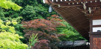 Chofu, Jindai-ji Honden 3