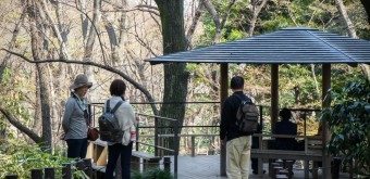 Kitanomaru Park, Visitors enjoying the park