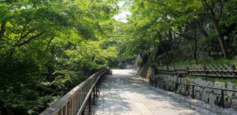 Kiyomizu-dera, Kyoto during Coronavirus Outbreak in June 2020 (5)