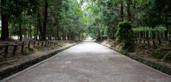 Nara Park, Nara during Coronavirus Outbreak in June 2020 (2)