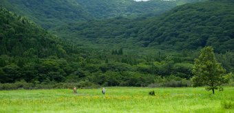 Aso-Kuju National Park (Oita), Hiking trail in Tadewara Wetlands