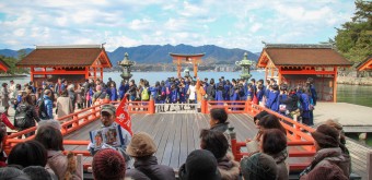 Miyajima 7