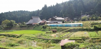 Ohara, Rice paddies near Jakko-in