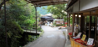 Ohara, A street near Sanzen-in